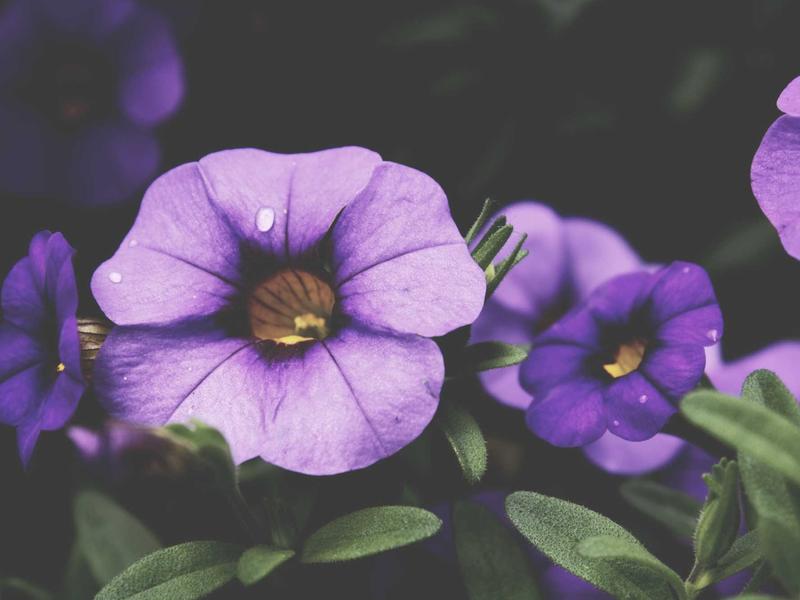 windows screenshot 5