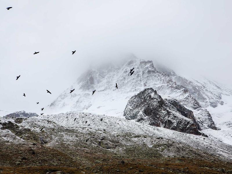 sudoku national contest screenshot 1